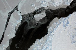 Satellite image of Arctic sea ice breaking up. Credit: NASA/Goddard Space Flight Centre