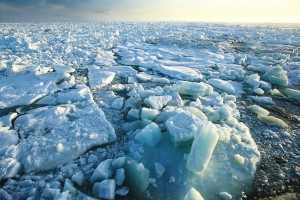 Every year the Arctic Ocean experiences the formation and then melting of vast amounts of ice that floats on the sea surface. This sea ice plays a central role in polar climate and the global ocean circulation pattern. Credit: ESA