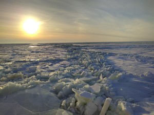 Arctic sea ice.  Credit:Tom Armitage