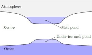 A cross-sectional schematic of sea ice with a surface melt pond and under-ice melt pond. Not drawn to scale