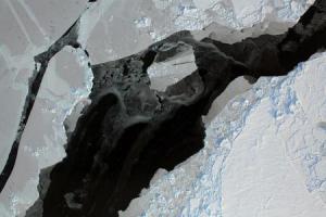 Arctic sea ice.  Credit: NASA/Goddard Space Flight Centre         